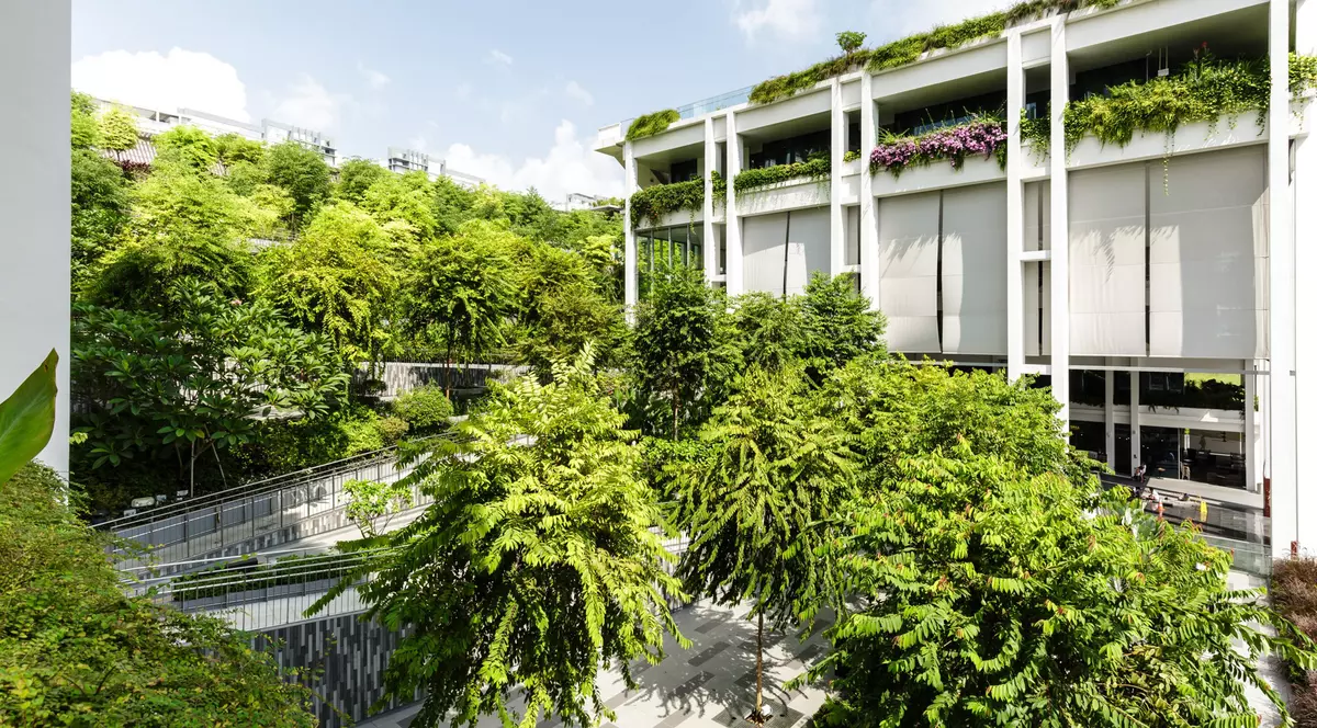 STUDIU. Spațiile verzi din orașe reduc decesele premature și cresc speranța de viață