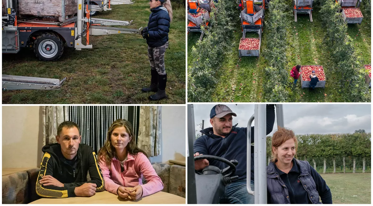 Imagini și povești inedite din interiorul fermelor din UK. Muncitorii români: „Ne lipsește familia și simțim că facem prea multe joburi”