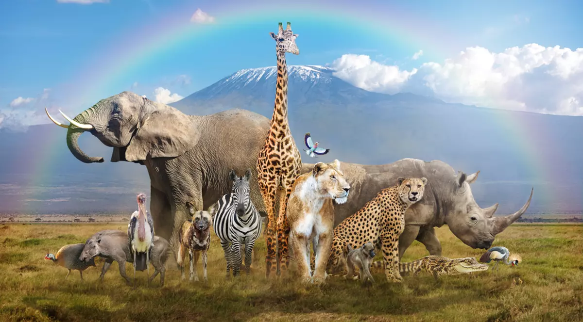 Animale exotice din lume