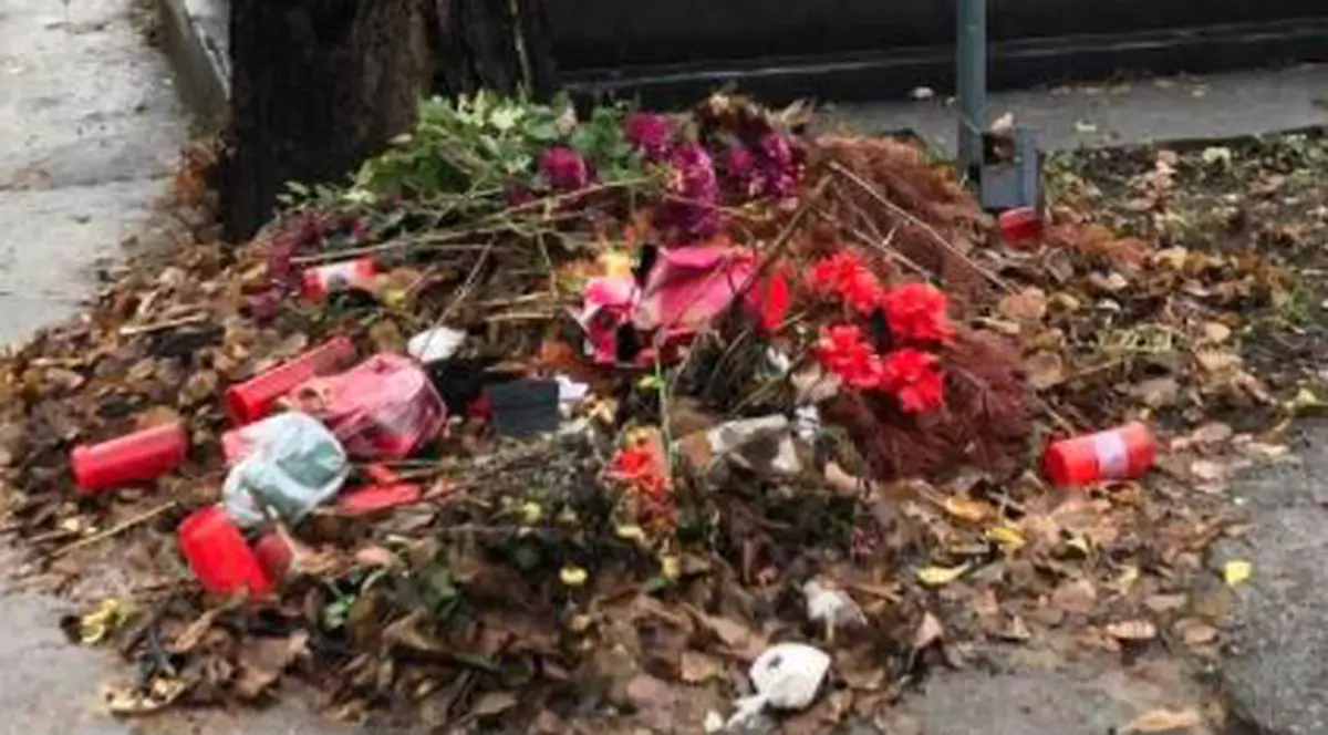 Oana Pellea, după ce a fost prin Cimitirul Bellu: „Niciodată nu am văzut asemenea dezastru”