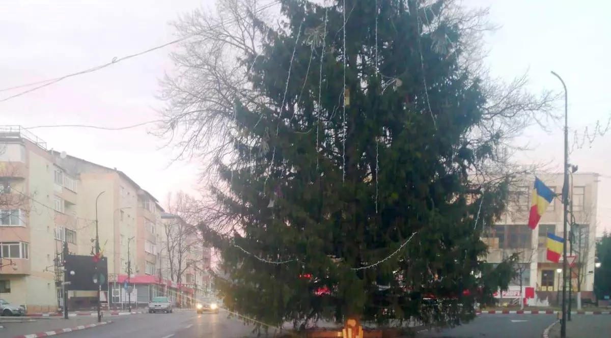 Brad de Craciun in intersectie, in orasul Panciu, din Vrancea. Foto: Vrancea 24