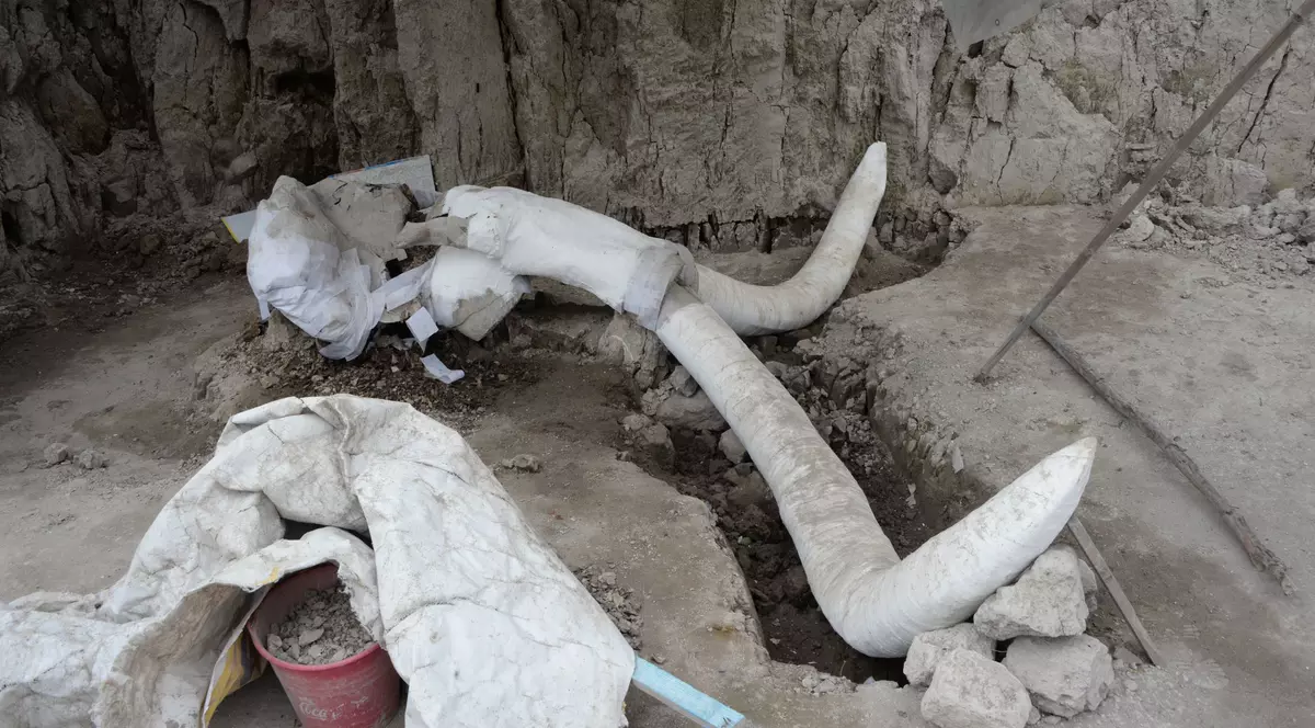 Cinci mamuţi din era glaciară au fost descoperiţi într-un sit arheologic din Marea Britanie