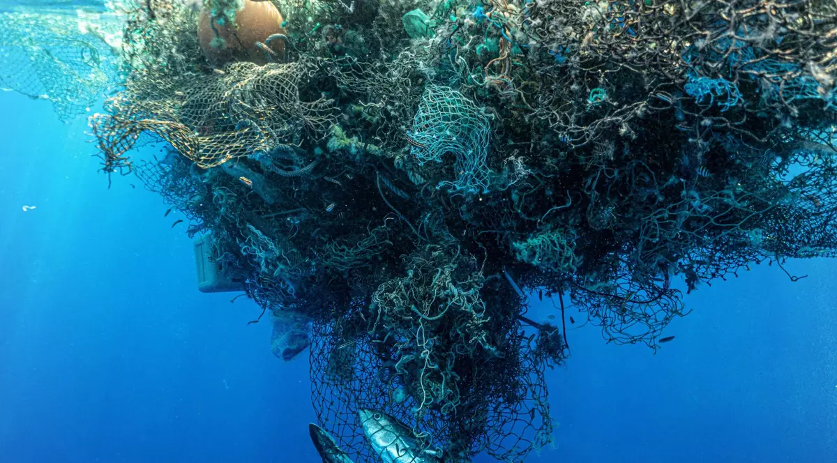 Marea insulă de gunoi din Pacific a devenit atât de mare, încât pe ea s-a dezvoltat un întreg ecosistem