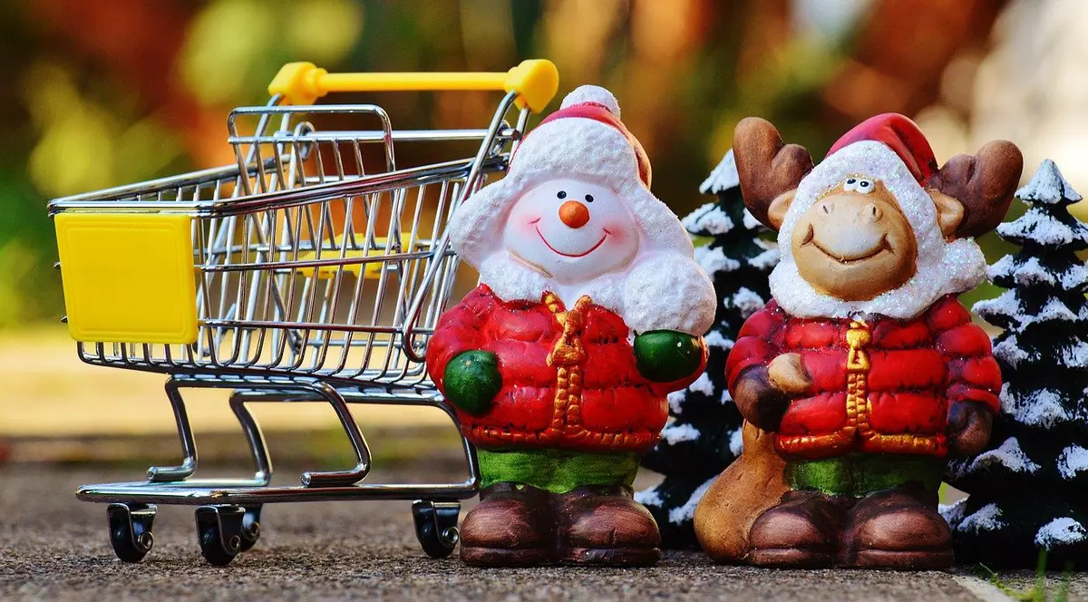 program magazine craciun 2021