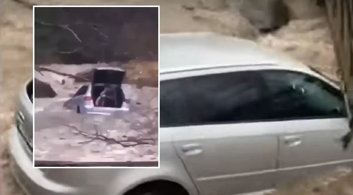 VIDEO | Audi luat de viitură în Prahova, tânărul șofer a vrut să-i arate unei fete cum traversează un râu umflat