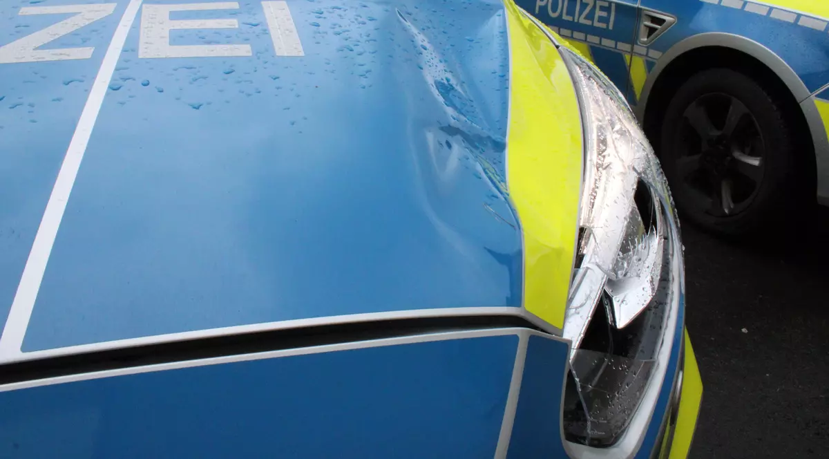 O văcuță „nebună” a „șifonat” o mașină de patrulare a poliției germane