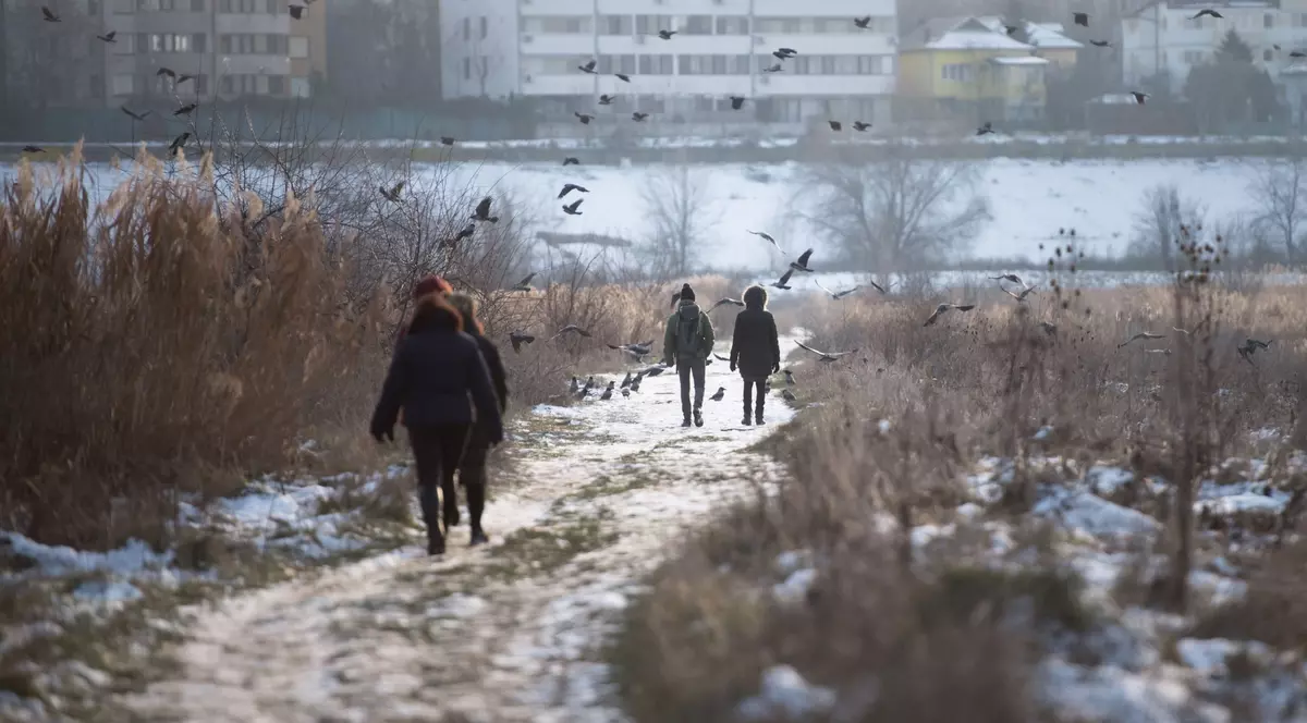 Cum va fi vremea în următoarele două săptămâni. Anunțul făcut de meteorologi