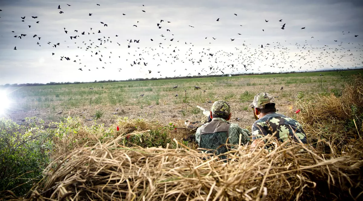 Noile modificări la legea vânătorii sunt constituționale, a decis CCR. Activiștii de mediu spun că vor decima zeci de specii de păsări migratoare