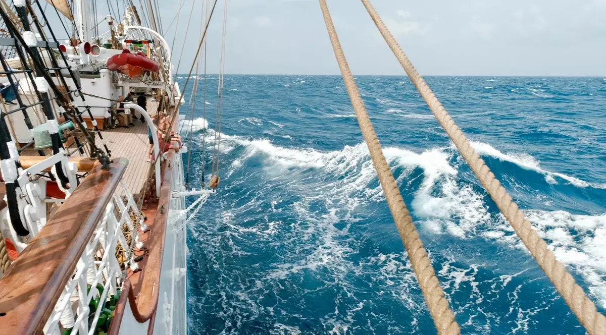 Povestea universității-vapor care adună studenți din toată lumea și face ocolul Pământului. Cât costă un loc la bord?