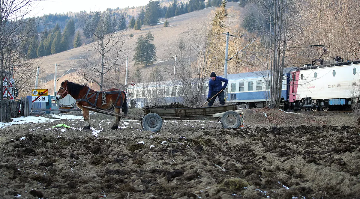 REPORTAJ. Românii de lângă Ucraina vorbesc cu îngrijorare despre posibila invazie a rușilor. „Ce-s 40 de kilometri dacă se ajunge pân’ la graniță?”
