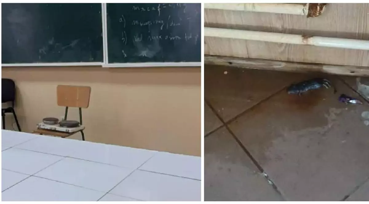 Imagini dintr-un liceu din Adjud: Încălzirea se face cu reșouri, pe hol a fost găsit un șobolan mort. Explicațiile conducerii