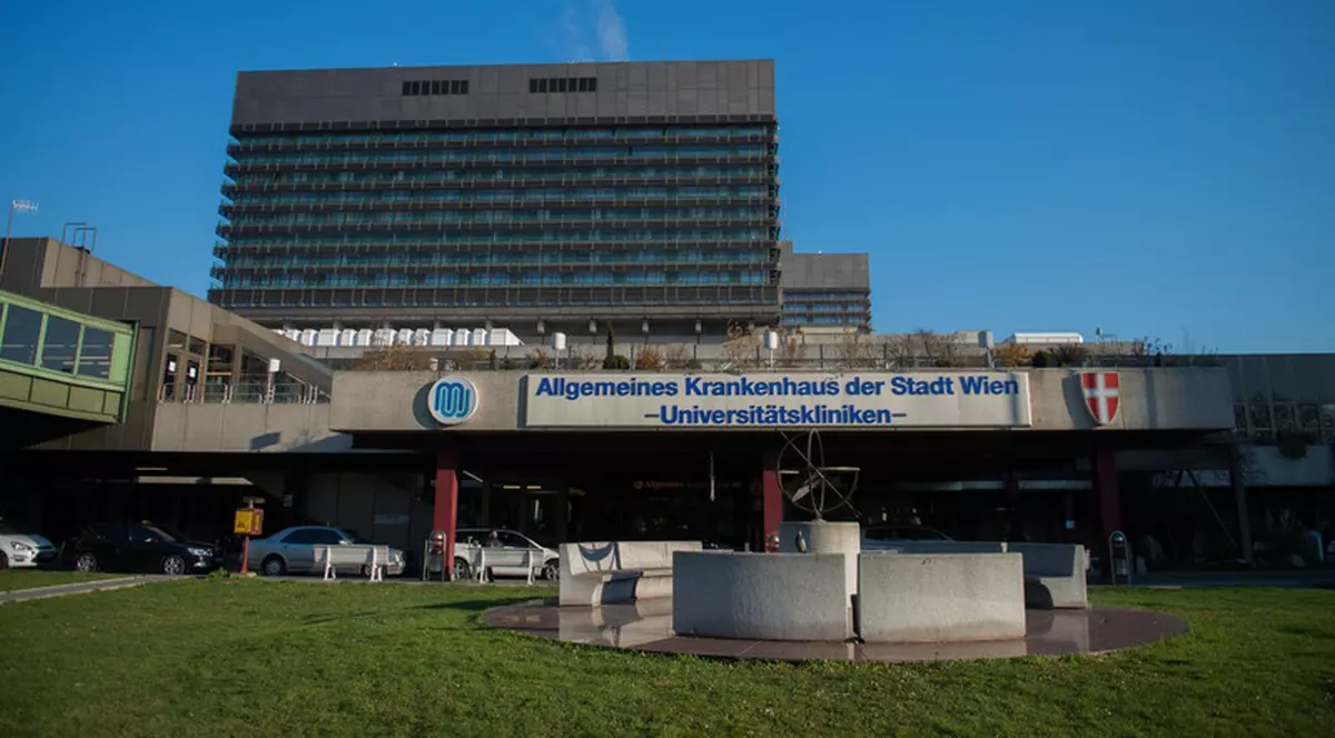 Trei brancardieri de la celebrul spital AKH din Viena goleau buzunarele pacienților în vărstă. Ce pedeapsă au primit