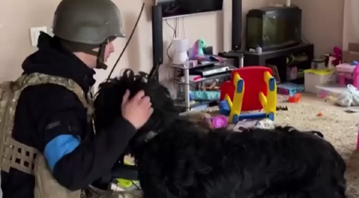 VIDEO | Soldații ucraineni au salvat un câine abandonat într-un apartament părăsit din Kiev