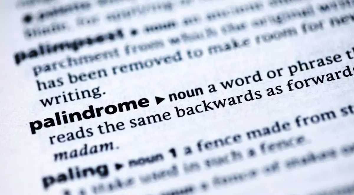 Definitia palindromului