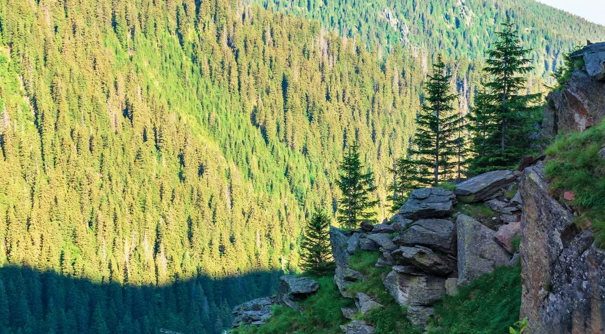 Ziua Pământului. Cine finanțează protecția mediului din România