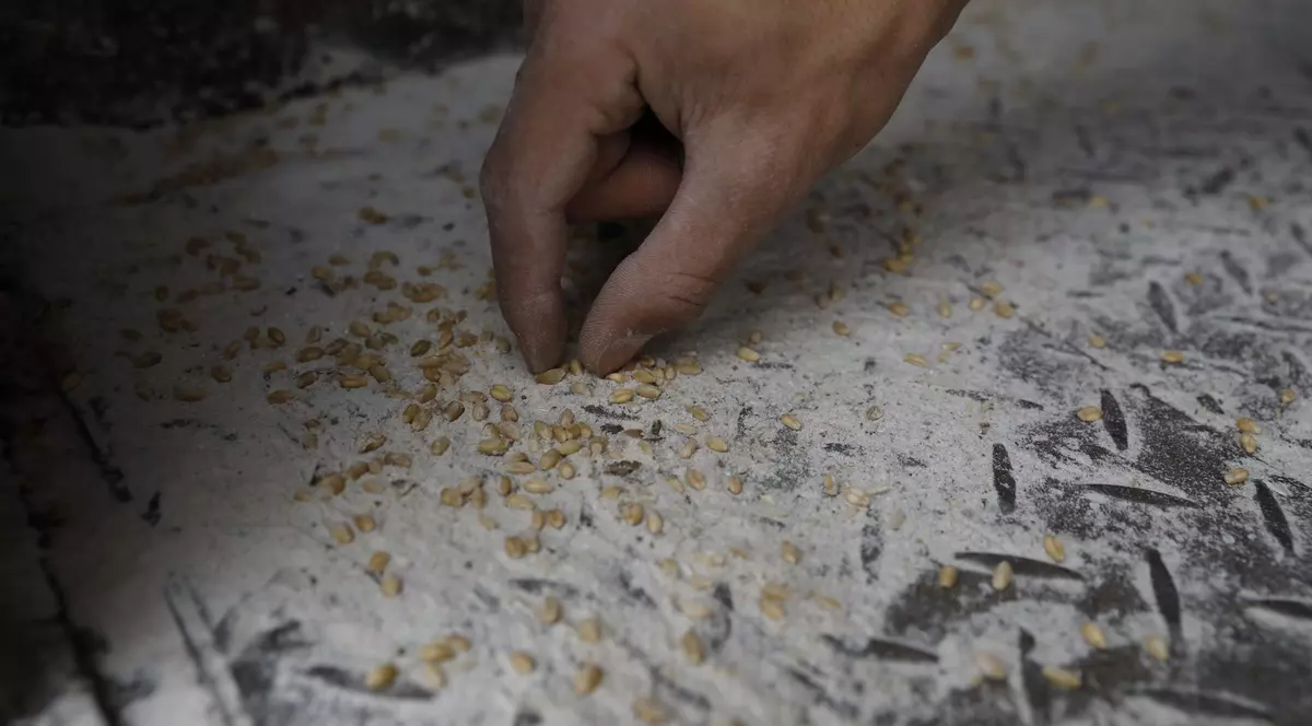 Soldații ruși „jefuiesc” și stocurile de grâu ale localnicilor, spune Ucraina. Peste 60 de tone au fost furate