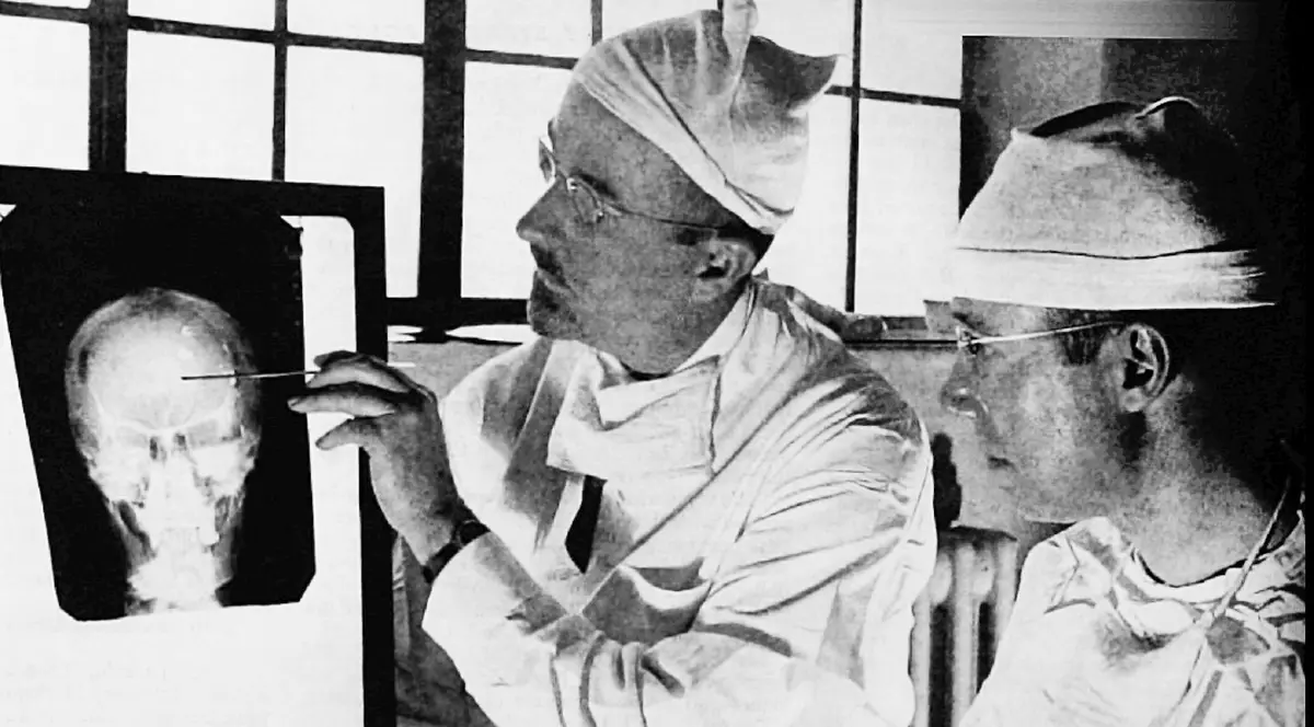 Studiul creierului, de la cimpanzei până la inteligența artificială. „Creierul lui Einstein era de mărime chiar puțin sub medie. La Lenin, comuniștii au oprit experimentele”