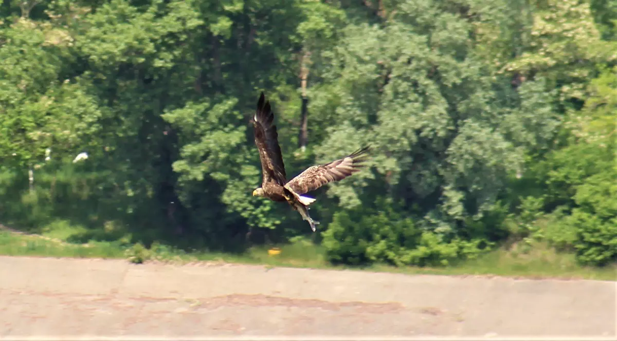 Foto: Facebook Arii Naturale Protejate Botoșani