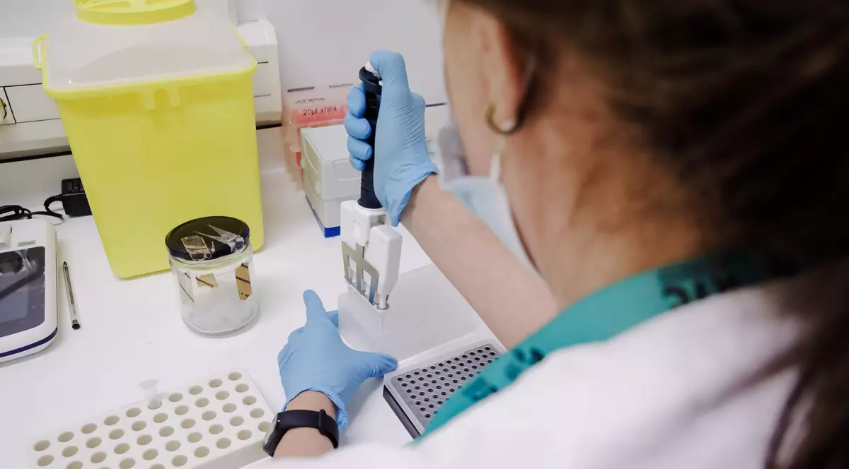 Bărbat din Alba, suspect de boala antrax, internat în spital. Ar fi luat boala de la oile din gospodărie