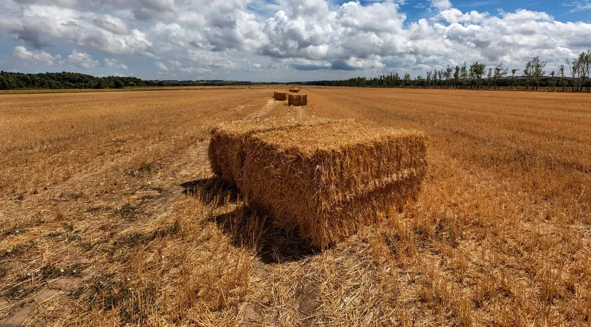 Un bărbat din Suceava a sunat la Poliție după ce a uitat unde a pus baloții de fân. Ce a urmat