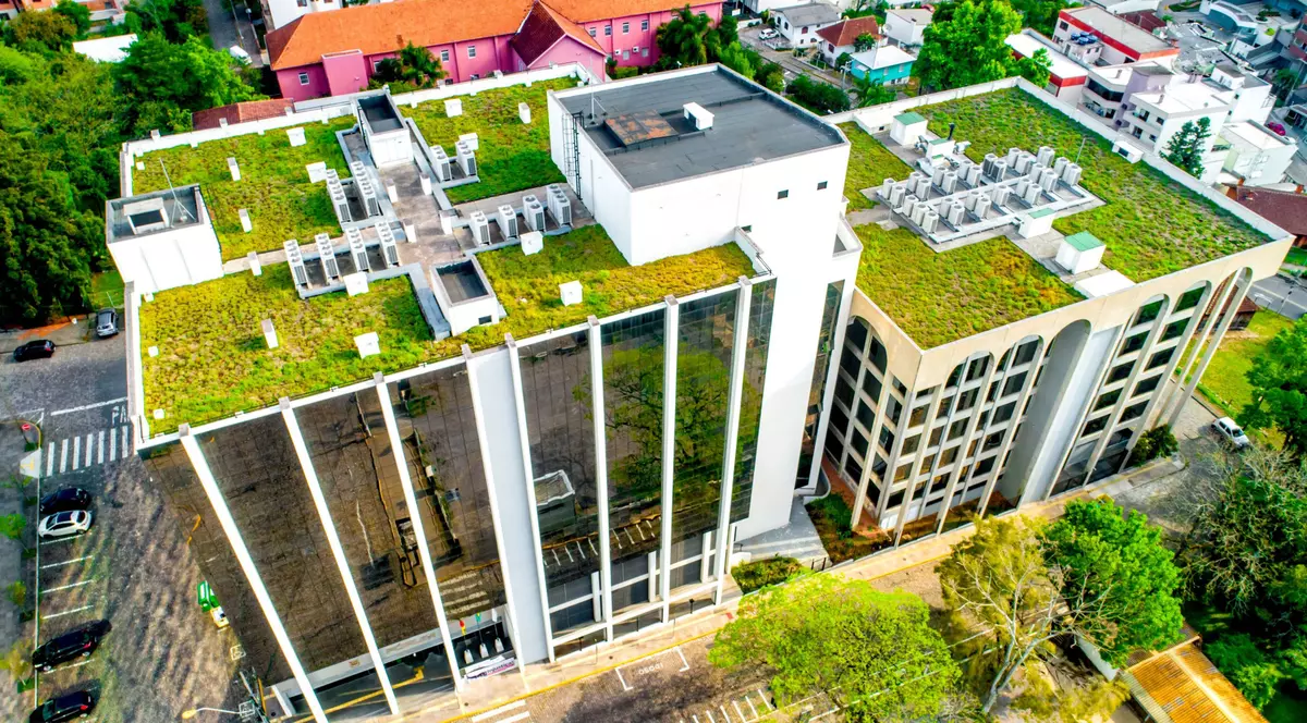 5 beneficii ale acoperișurilor verzi, cea mai nouă tendință în construcții, de la BMI România