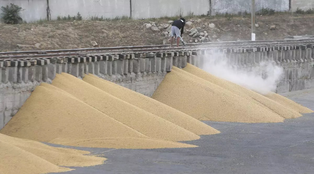 Marina rusă are ordin să blocheze complet porturile ucrainene la Marea Neagră pentru a bloca exporturile de cereale