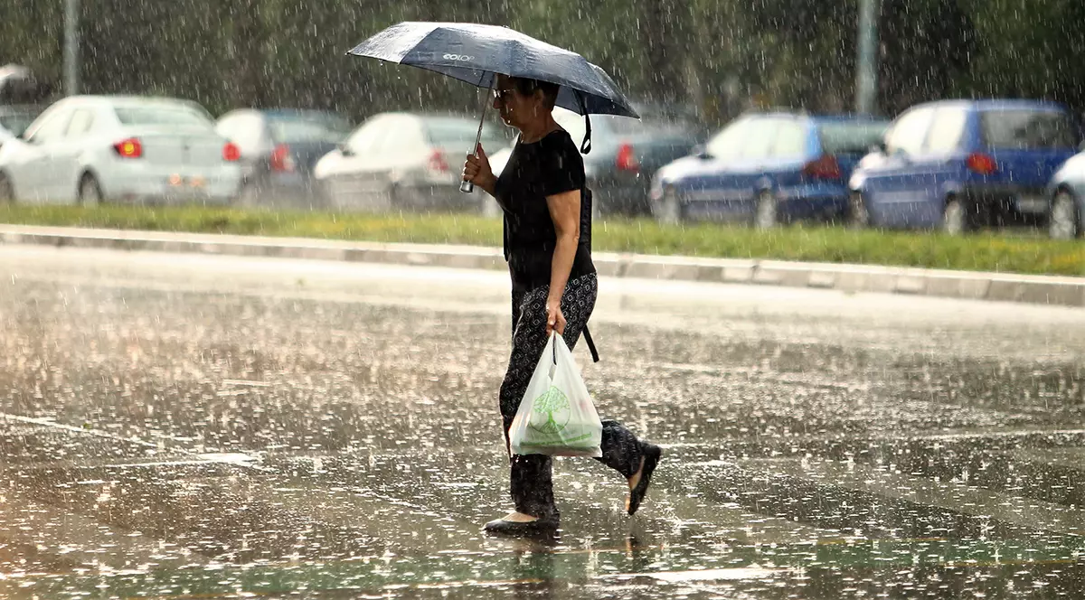 Cod portocaliu și galben de ploi în Muntenia, până diseară. Plouă și în București