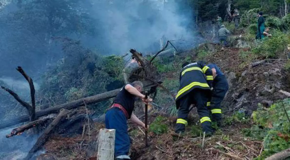 Zeci de pompieri, silvicultori și salvamontiști din Mureș încearcă să stingă un incendiu de pădure care arde de 24 de ore