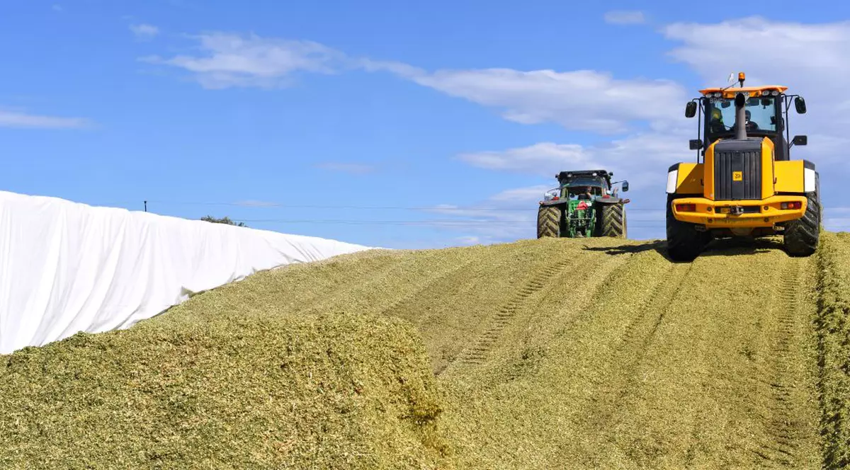 23,5 milioane de tone de cereale sunt blocate în Ucraina. Exportul, redus la o cincime din cauza războiului