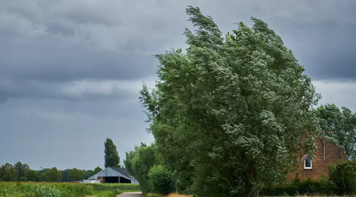 Cod galben emis de meteorologi: mai multe județe vizate de rafale puternice de vânt