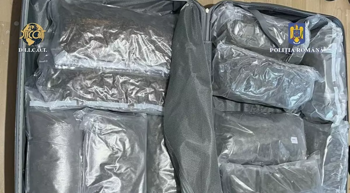 74 de dosare penale au fost deschise pentru deţinerea de droguri de risc şi de mare risc pentru consum propriu, după festivalul Saga