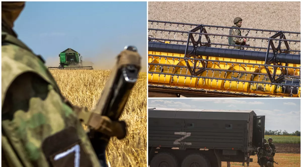 Rușii recunosc că duc cerealele din Ucraina la Moscova. Soldați înarmați păzesc secerișul: „Asigurăm securitatea alimentară a statului”