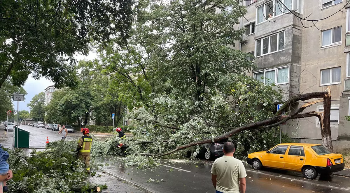 Urmările alertelor meteo de vijelii:  clădiri inundate și copaci doborâți de vânt. Unde a fost nevoie de intervenția pompierilor