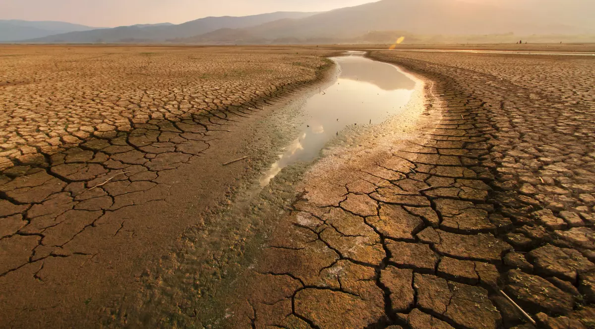 Omenirea este în pragul „sinuciderii colective” din cauza crizei climatice, avertizează șeful ONU