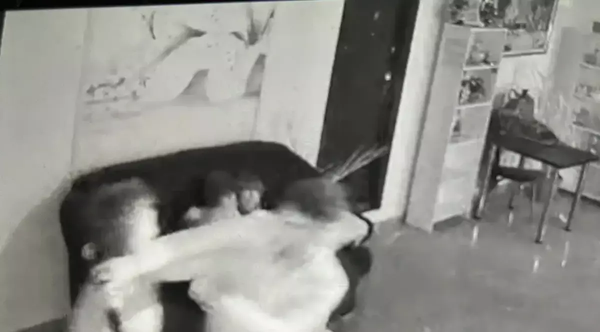 Hostel din Vernești, vandalizat în timpul unei petreceri de majorat. „Au golit toate stingătoarele. Era vomă peste tot”