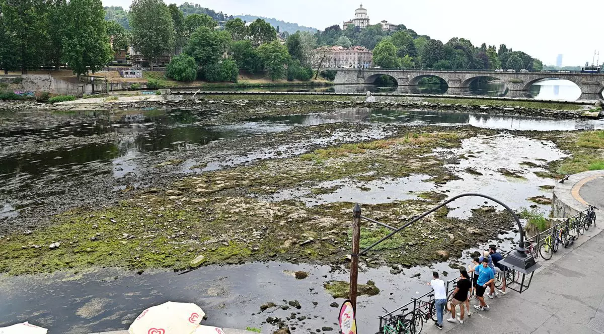 Seceta din Italia pune în pericol producția de parmezan. „Situația este critică și nu poate decât să se înrăutățească”