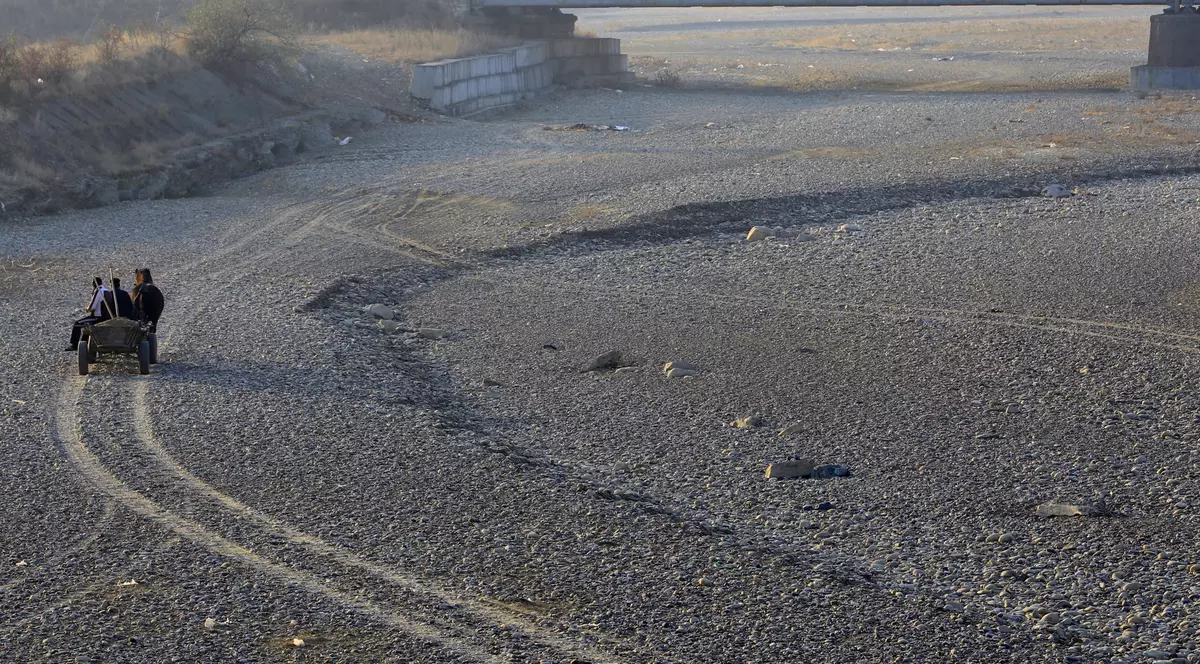 Fermierii cer declararea stării de calamitate din cauza secetei. Sunt județe în care culturile sunt afectate până la 80%