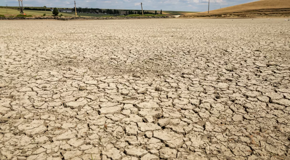 Petre Daea: „Nu există niciun colţişor din ţară unde nu avem secetă pedologică”. Câte hectare sunt afectate