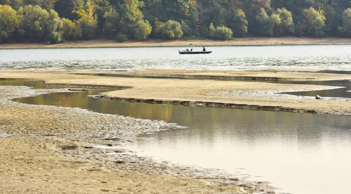 Foto ilustrativă: Shutterstock