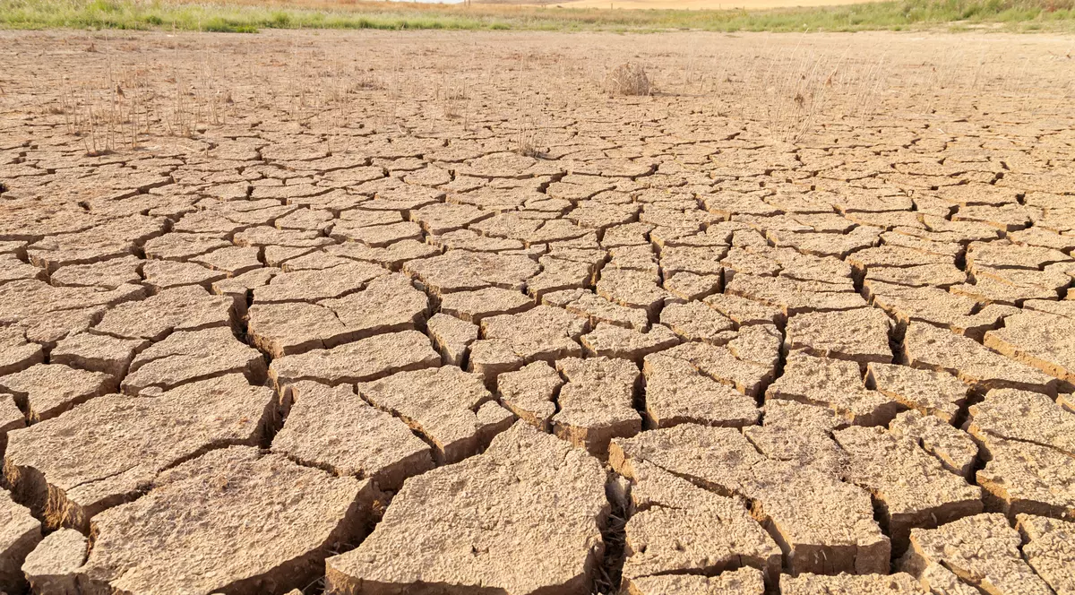 Secetă extremă în Moldova, Dobrogea și Muntenia. O cercetătoare explică la ce scenarii să ne așteptăm în următoarele decenii