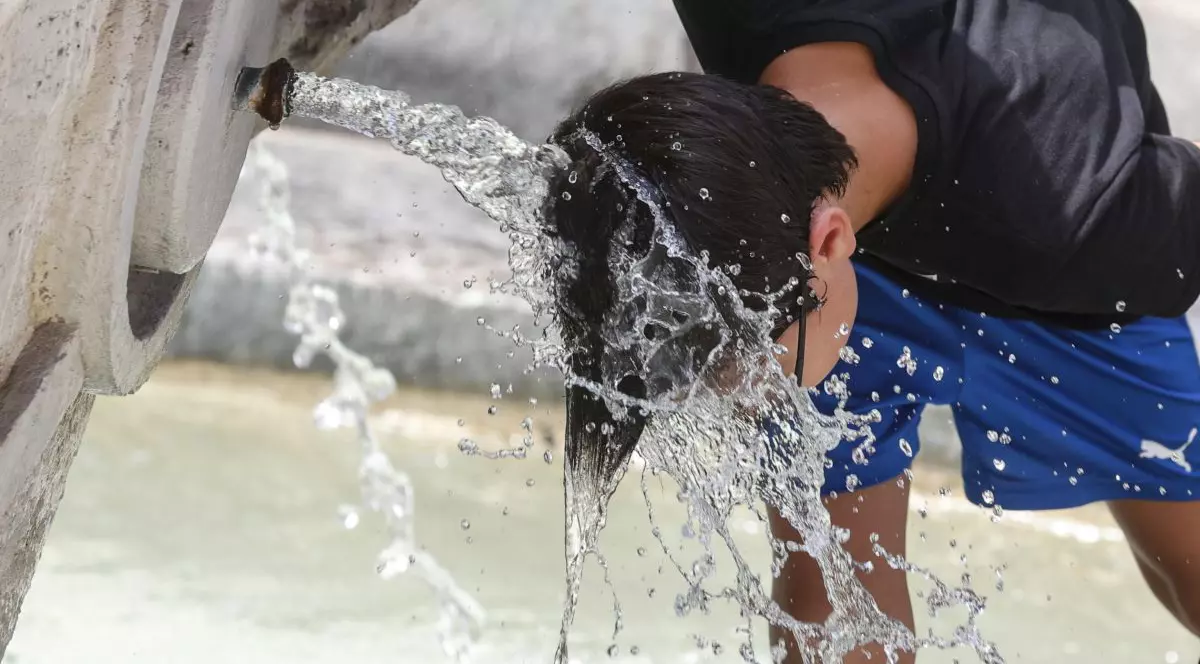 Europa nu a fost pregătită pentru valul de căldură care a lovit-o. Cel puțin 2.000 de oameni au murit, iar bilanțul va crește