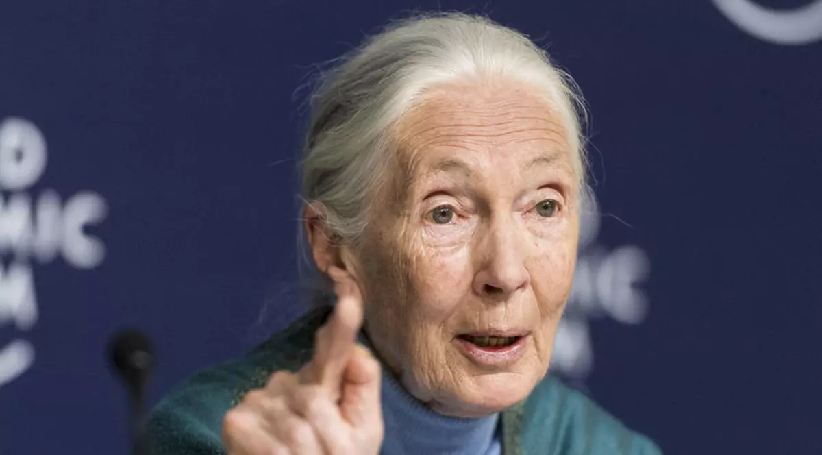 O păpuşă Barbie cu chipul cercetătoarei britanice Jane Goodall, lansată de Mattel: „Mulţi copii învaţă despre mine la şcoală”