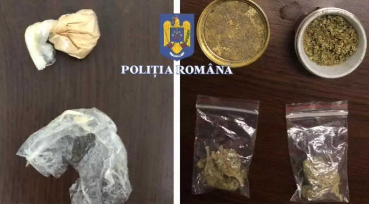 36 de persoane sunt cercetate penal după ce au fost depistate cu droguri la festivalul de muzică electronică de la Bușteni￼￼￼￼￼￼￼￼￼￼