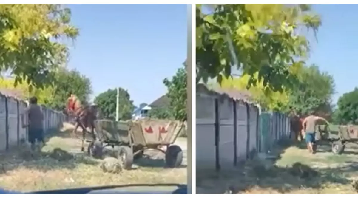 Tânăr de 19 ani, cercetat după ce și-a bătut calul înhămat la o căruță. Momentul a fost filmat  | VIDEO
