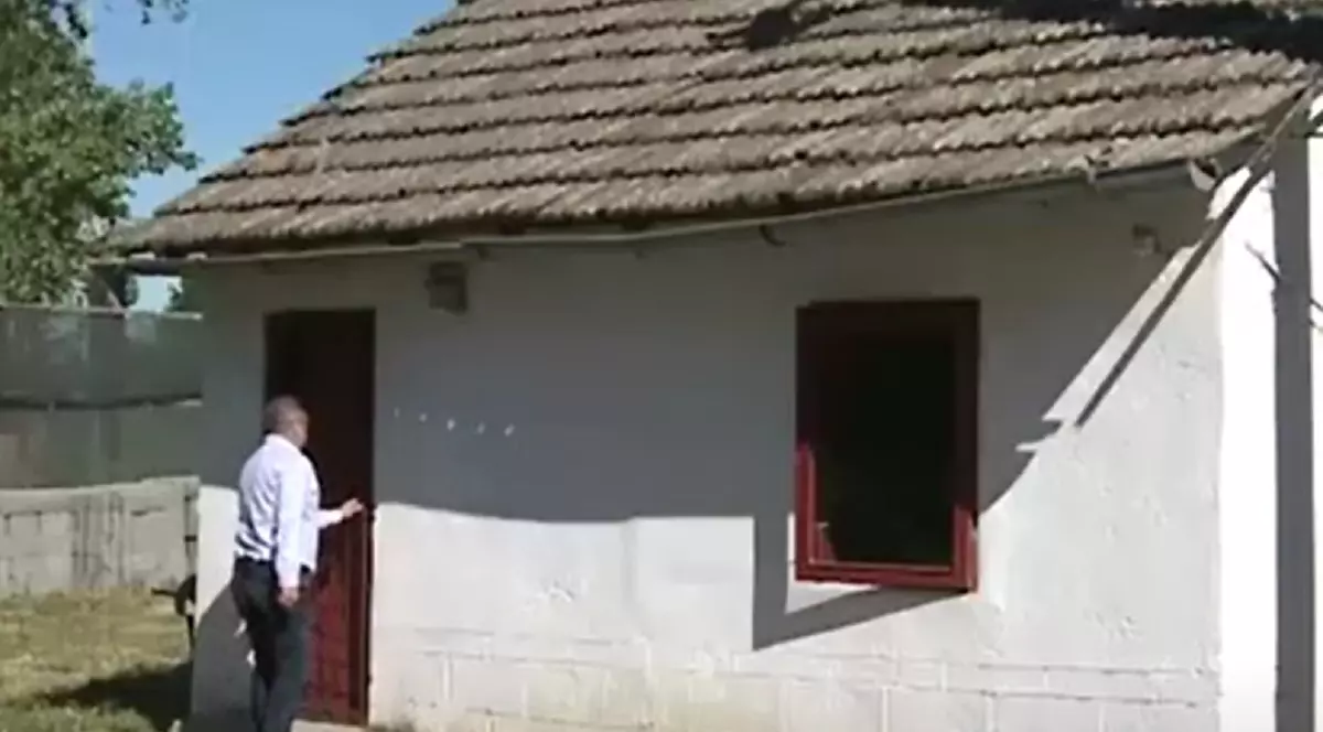 Primarul din Calafat i-a făcut birou viceprimarului în adăpostul de câini: „A fost singura locație disponibilă”