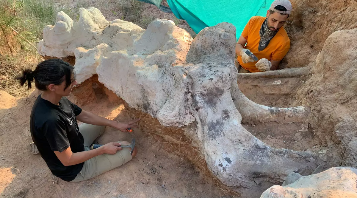 Un schelet gigantic de dinozaur a fost găsit într-o grădină din Portugalia