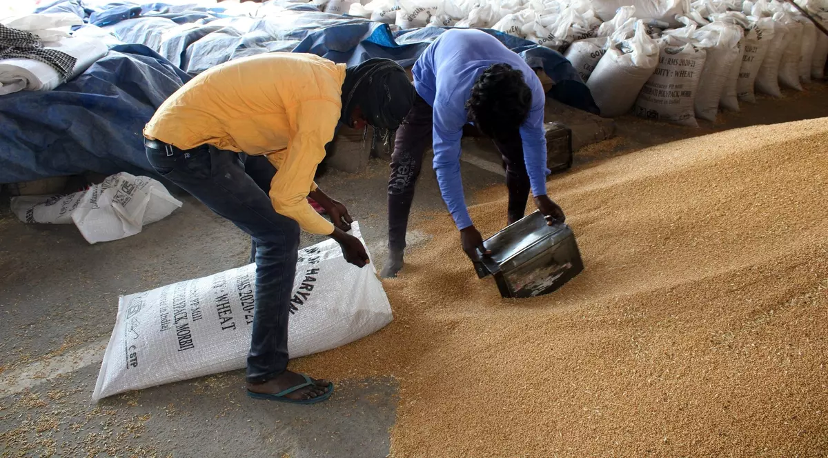 Regii cerealelor au profituri imense, iar activiștii cer suprataxarea lor. „Au pus stăpânire pe lanțurile alimentare”