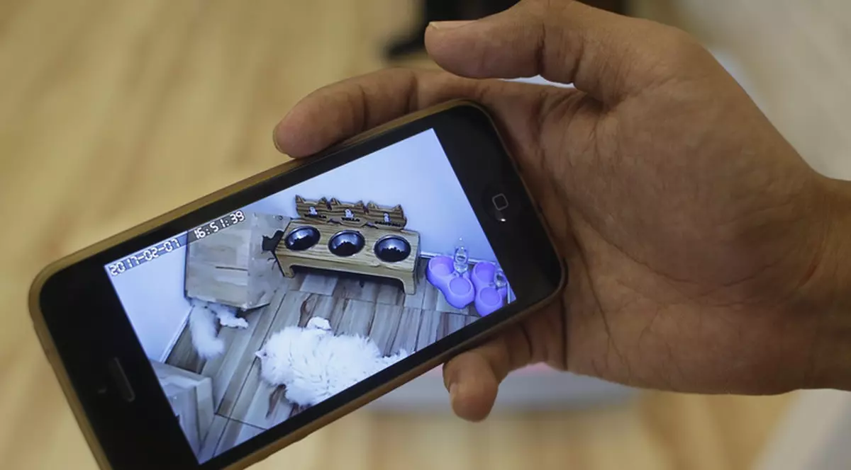 Șocul unei italience aflate în concediu când și-a verificat pisica pe camerele video din casă. Pe cine a surprins în patul ei