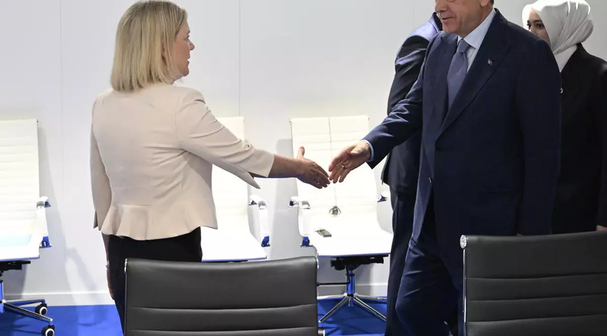 Suedia extrădează în Turcia un bărbat condamnat pentru fraudă