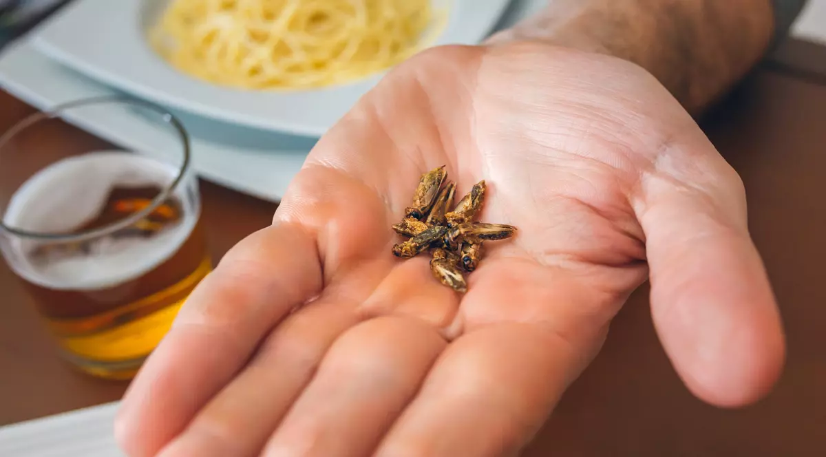 De ce vrea AUR să interzică prin lege insectele în industria alimentară din România